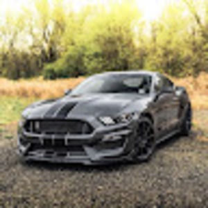 Meet your Posher, Tony